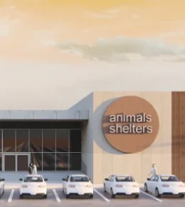 Screenshot 2025-12-18 063033