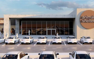 Screenshot 2025-12-18 063625