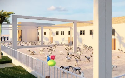 المآوي (Shelters)